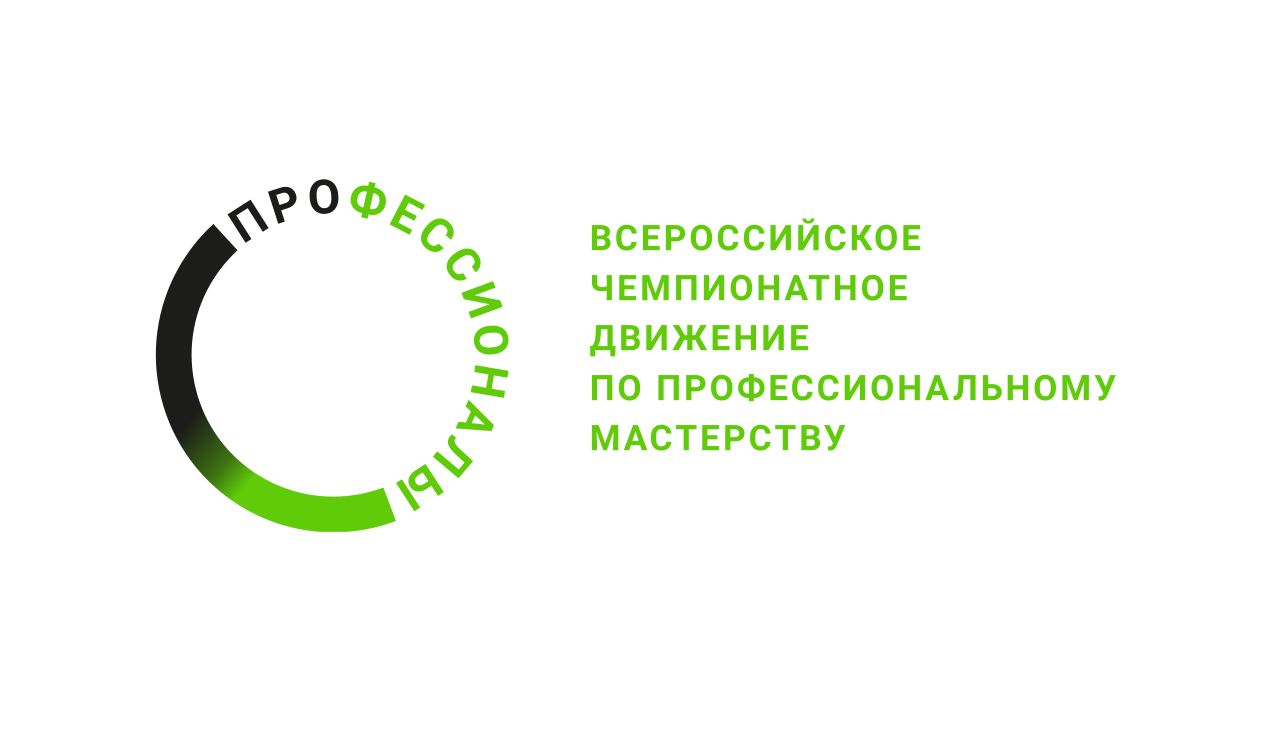 Профессионалы -2024 Профессионалы -2024