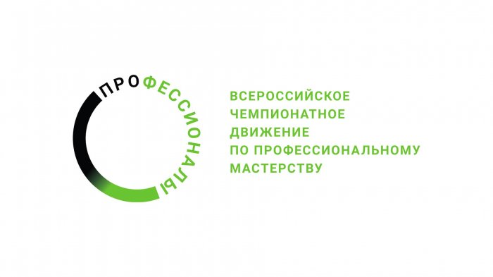 «Профессионалы» 2025